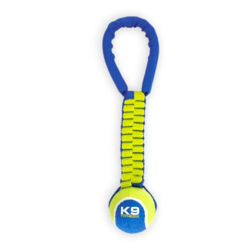 JUGUETE PERRO PELOTA CUERDA CRUZADAS