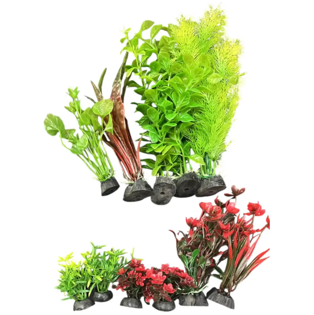 PLANTA DE ACUARIO C/BASE VARIADA