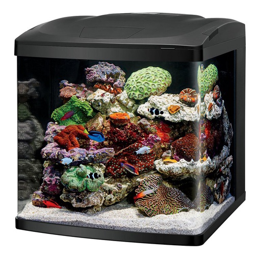 KIT PECERA BIOCUBE LED